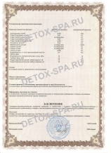   Ion Detox Spa 
