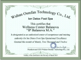 Ion Detox Spa